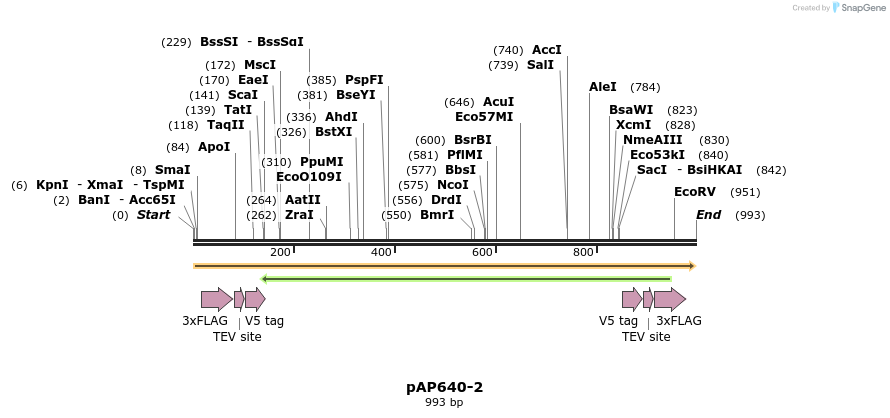 182230_map
