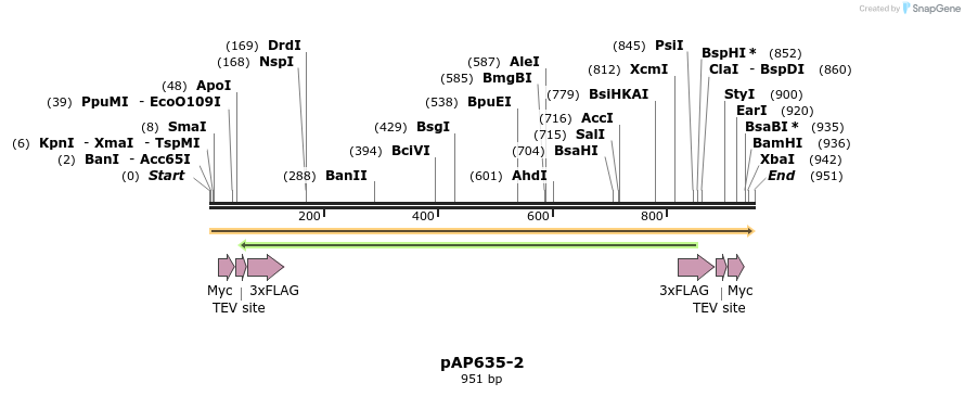 182234_map