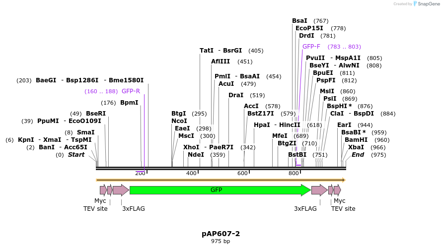 182236_map