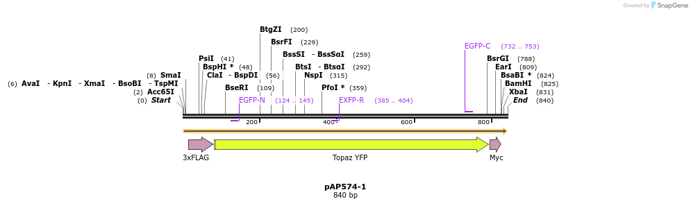 182239_map