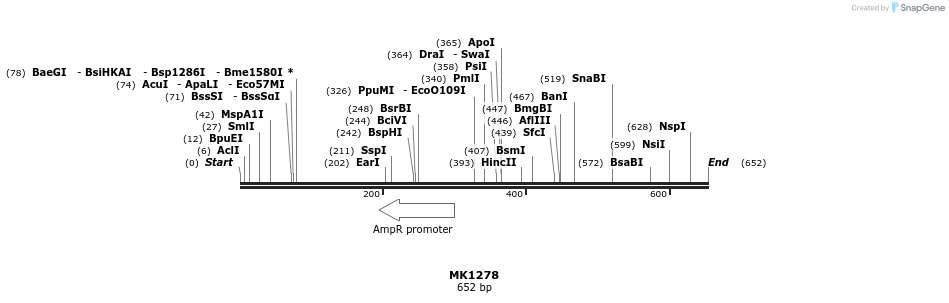 182291_map