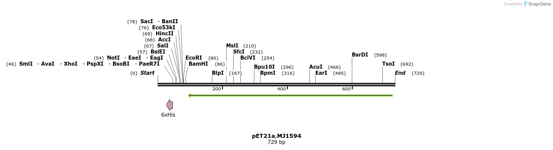 18241_map