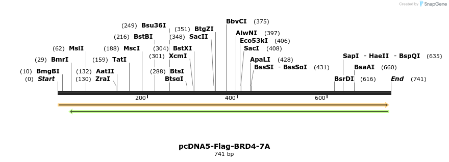 182434_map