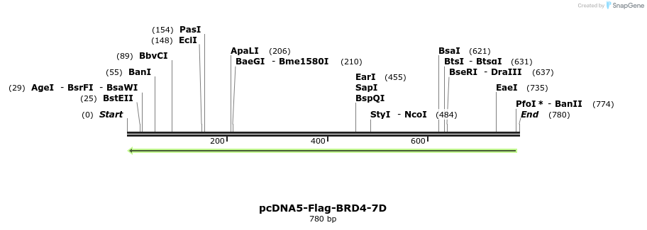 182437_map