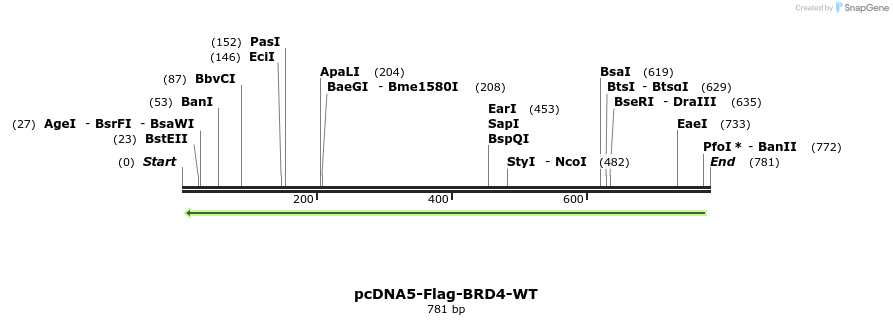 182439_map