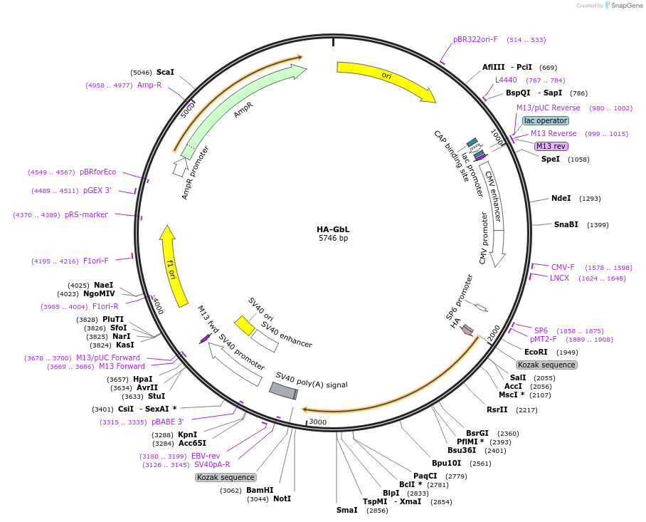 182550_map
