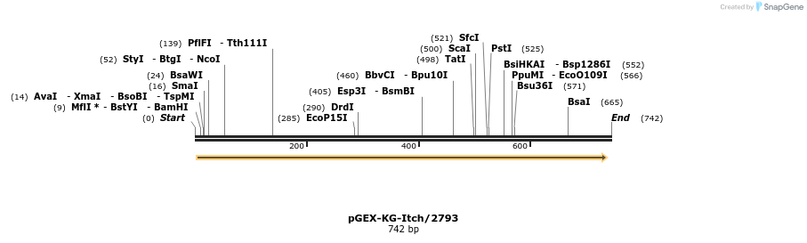 18285_map