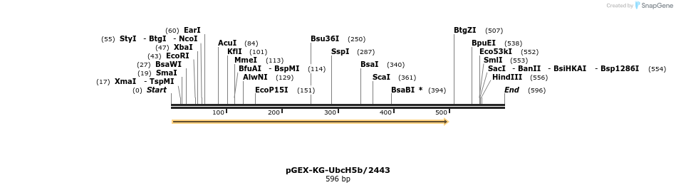 18294_map