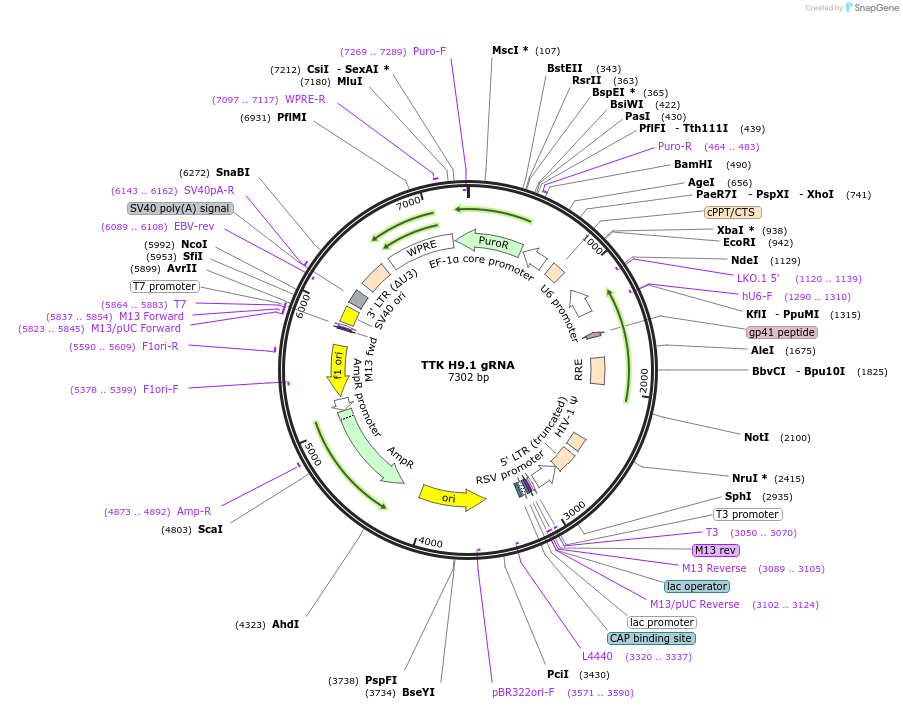 182973_map