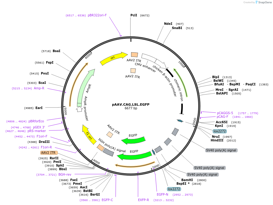 182997_map