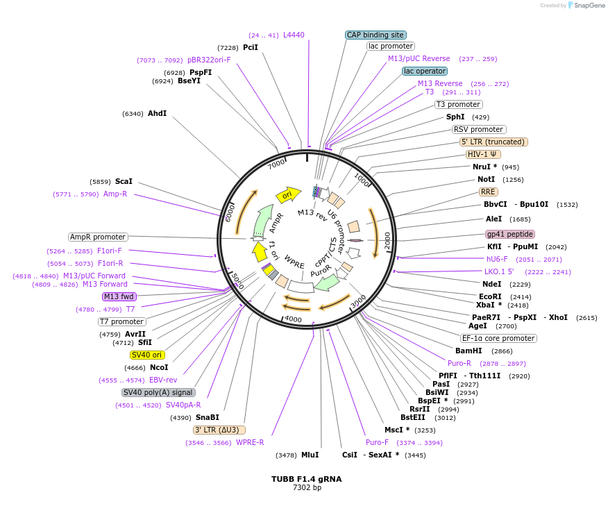 183039_map