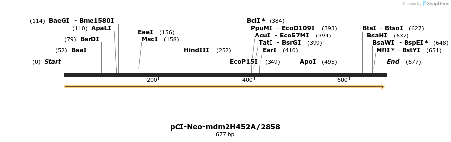 18304_map