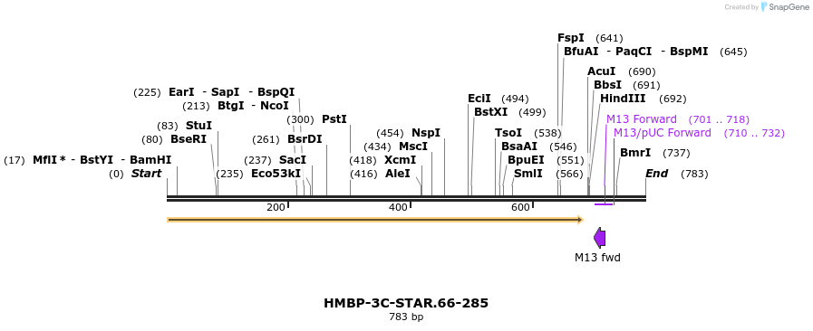 183079_map