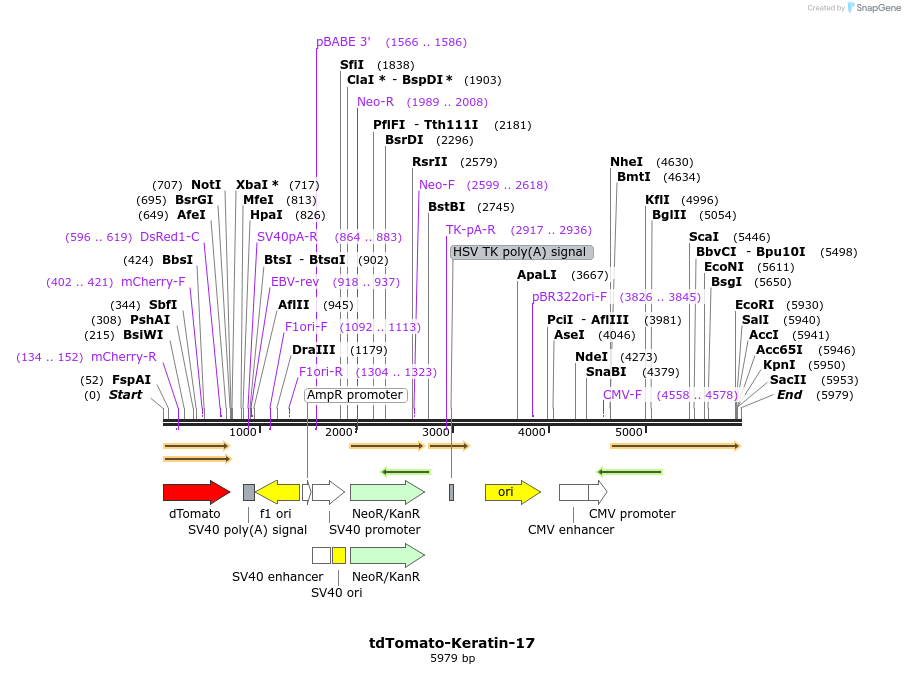 183112_map