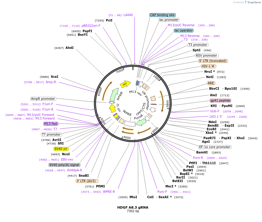 183186_map
