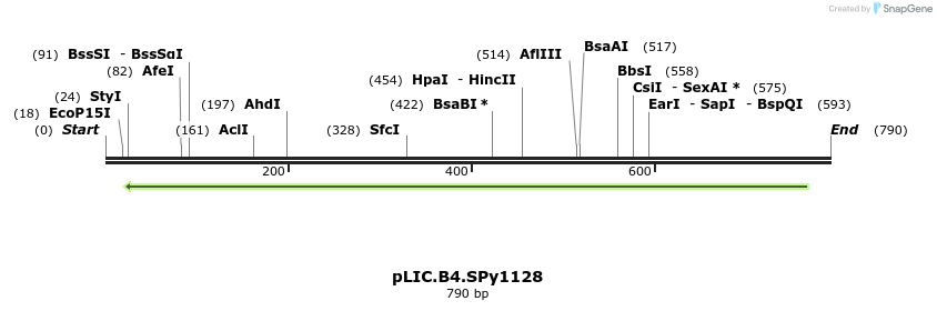 18321_map