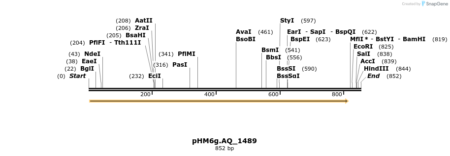 18324_map