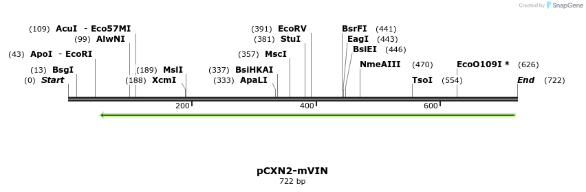 18331_map