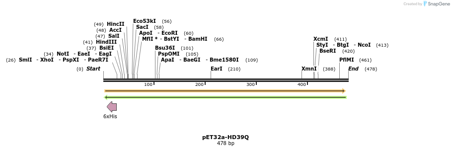 18333_map