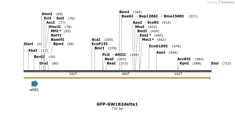 18339_map