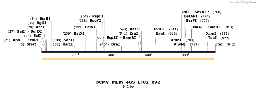 183646_map