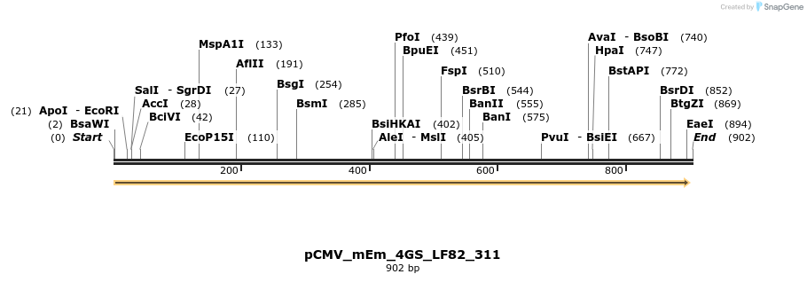 183662_map