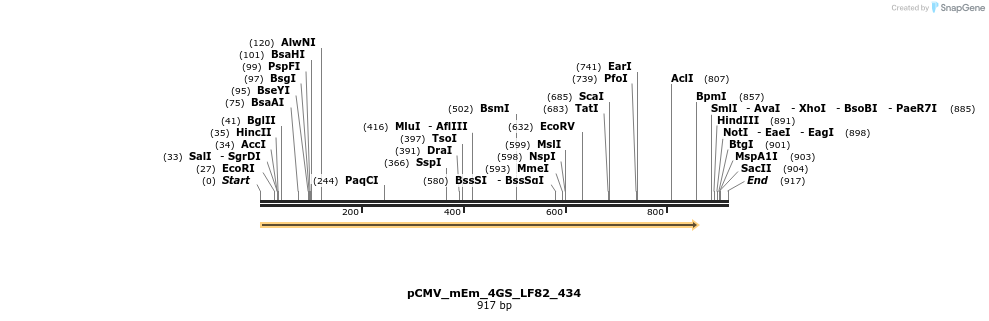183674_map