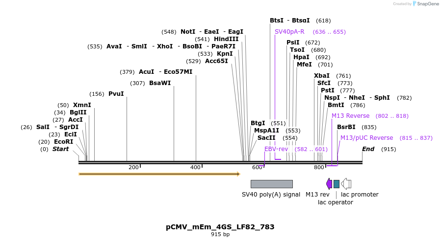 183706_map