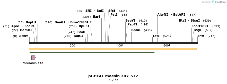 18372_map