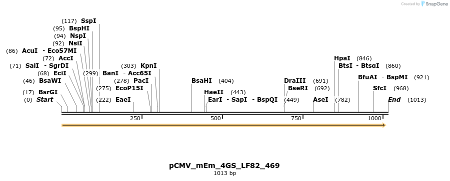 183755_map