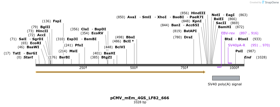 183768_map