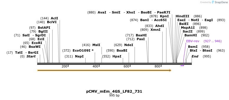 183784_map