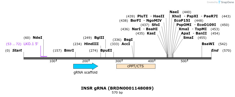 184017_map