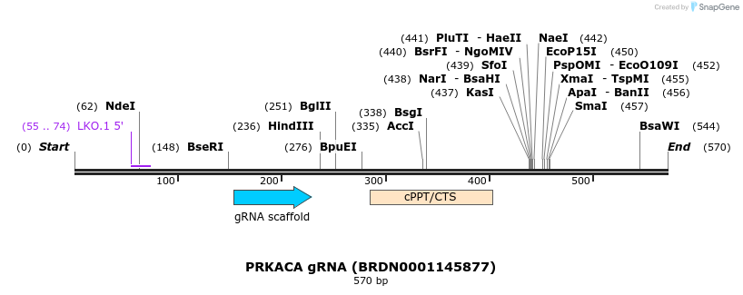 184037_map