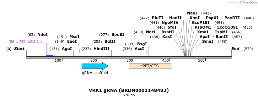 184049_map