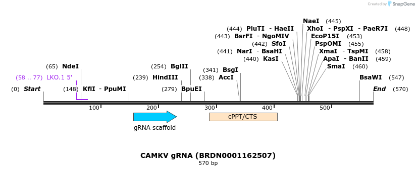 184059_map