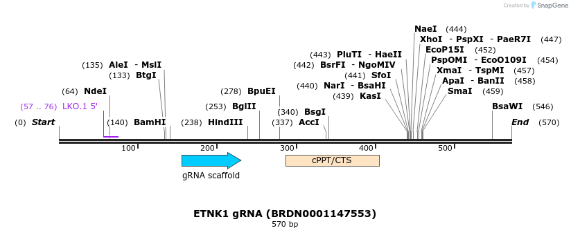 184063_map