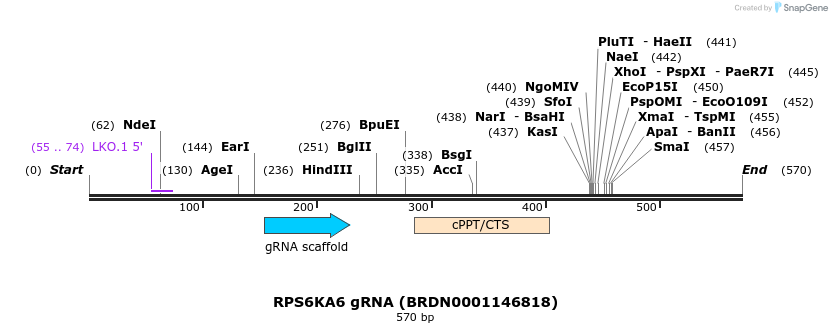 184071_map