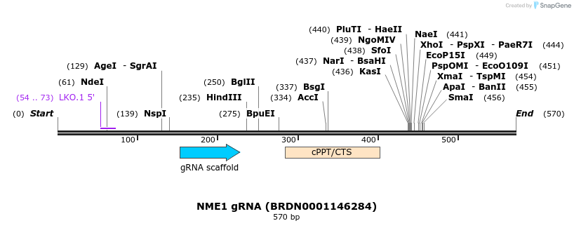 184081_map