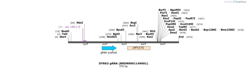 184097_map