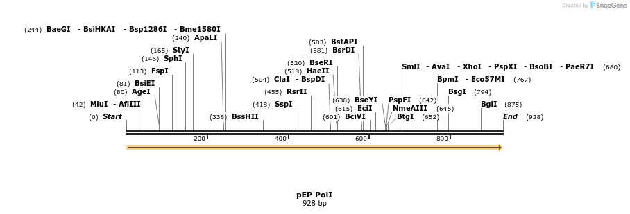 18419_map