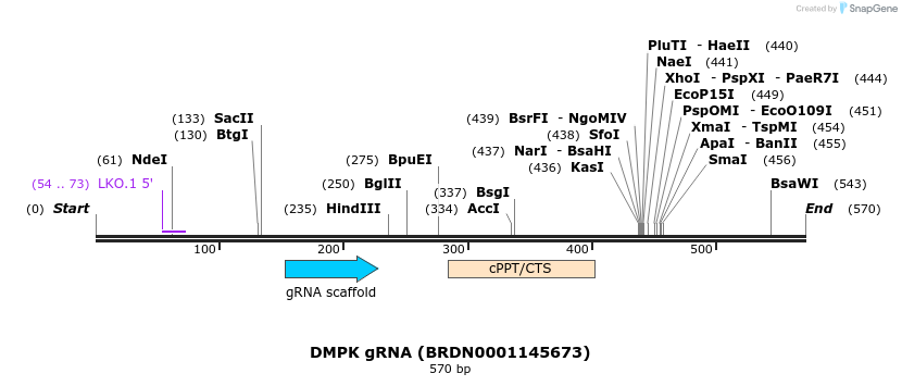184213_map