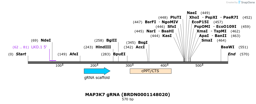 184379_map