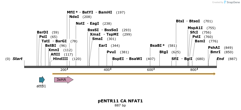 18497_map