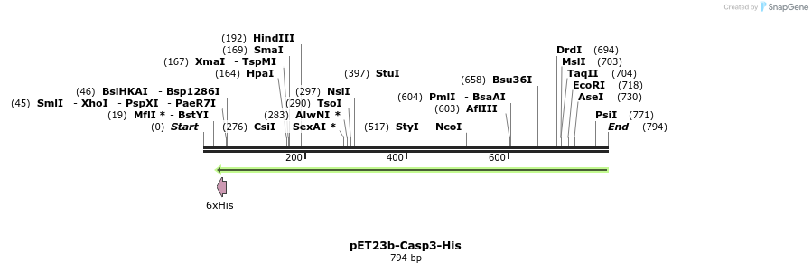 18501_map