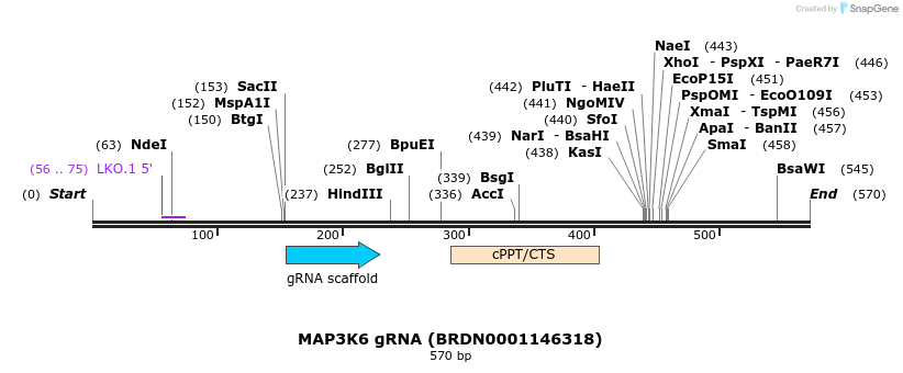 185013_map