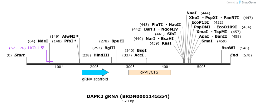 185023_map