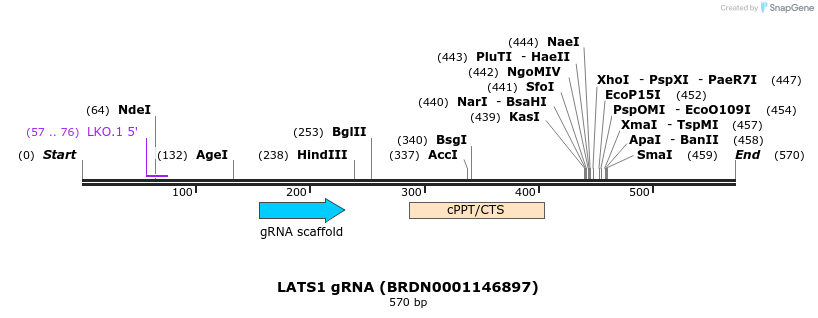 185035_map