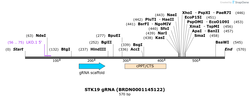 185039_map