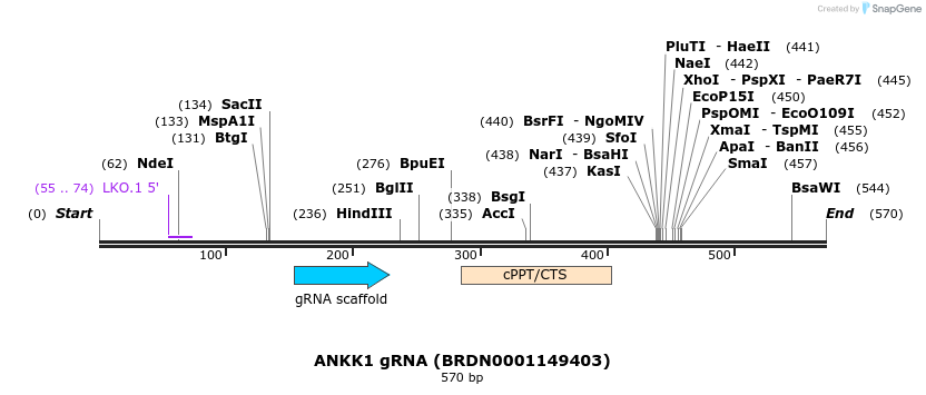 185055_map